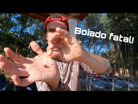 APRENDA A FAZER O SISTEMA DO BOIADO! - DICAS DE PESCA