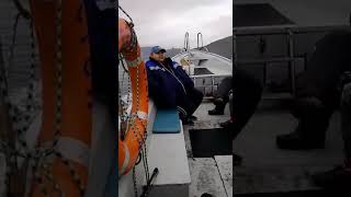 Когда ловить пикшу в черном море