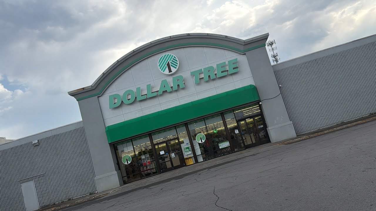 Vlog 💸Dollar Tree Haul (NEW finds) 