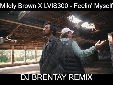 Mildly Brown X LVIS300 - Feelin Myself (DJ BRENTAY REMIX)