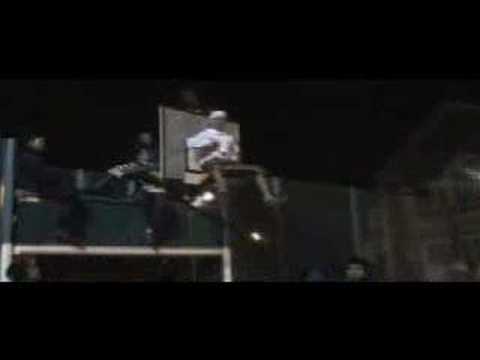 Mini-D-This is Only the Beginnin