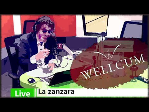 Il Pietro Longo zanzaresco di nuovo in pista - La Zanzara 2.6.2021