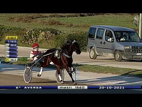 Aversa trotto 20 Ottobre 2021 - 6° Corsa