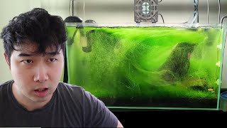 these fish tank ideas are NEXT LEVEL | Fish Tank Review 263
