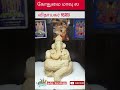 Eco Friendly Vinayagar Made With Wheat Flour Shortsfeed Tamilshorts
