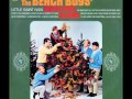 The Beach Boys - Auld Lang Syne (fix)