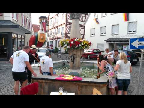 Cold Water Challenge Narrenrat Munderkingen 2014