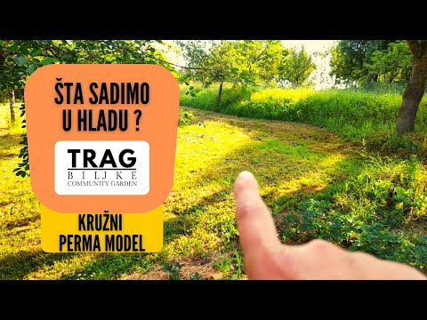 ŠTA SADIMO U HLADU?  KRUŽNI PERMA MODEL (2022) [TRAG BILJKE]