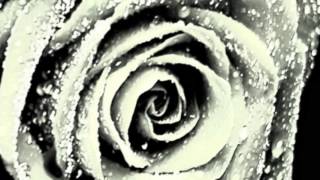 Cenizas (Los Terricolas)