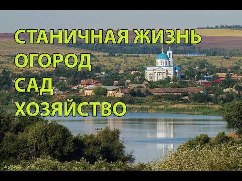 Прямая трансляция на тему станичная жизнь, животноводство, сад