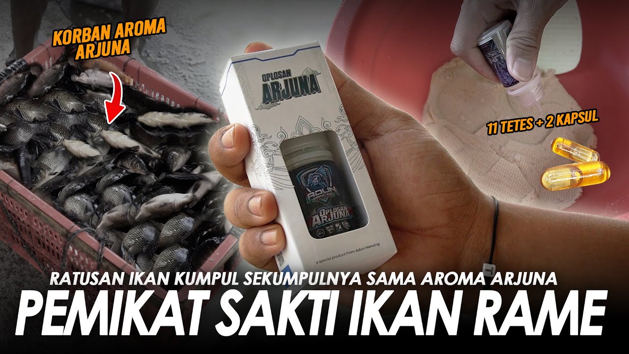 LAHIRNYA OPLOSAN SAKTI MANDRAGUNA !! APA BENER BISA BIKIN IKAN CEPET KUMPUL ?? || Am#617