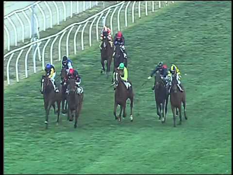 Galoppo 09/12/2015 - 4° corsa