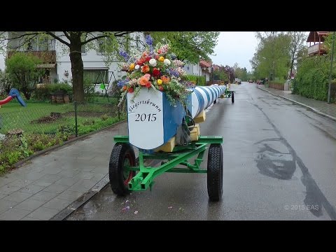 Maibaumaufstellung 2015 in Siegertsbrunn