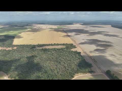 Fazenda Chapada Grande - Regeneração - Piauí - Brasil Pt2