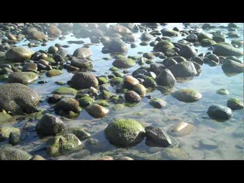 DESMAR-smokinstatue-MGMT