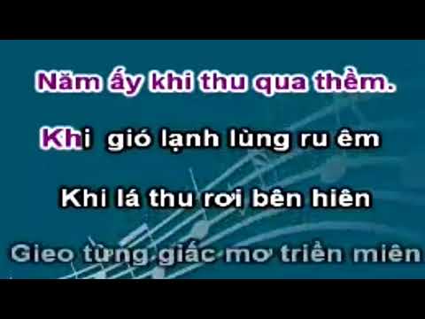 Karaoke Xe Hoa Mot Chiec - Nguyen Hung