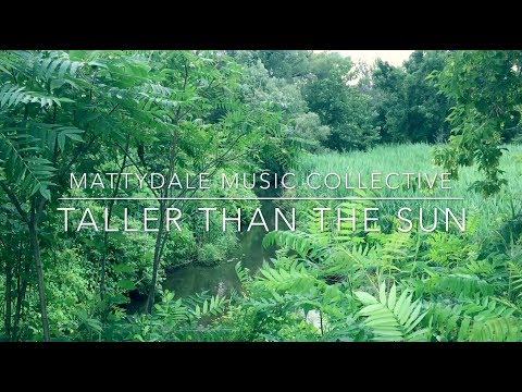 Mattydale Music Collective - Taller Than The Sun (Official Music Video)