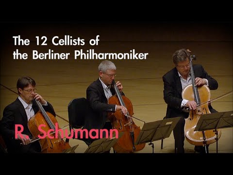 The 12 Cellists of the Berliner Philharmoniker - R. Schumann : Romanze Op 28, No.2 | OPUS Masters