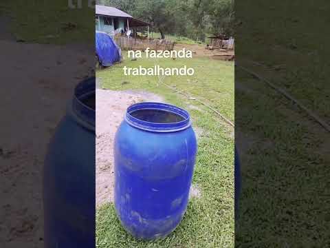 Inacio Martins Paraná vídeo novo todos os dias 🖐️🙌