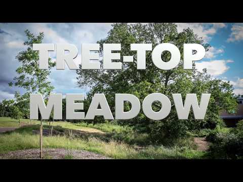 Professor Jigget - Epping Primary School - Full length project