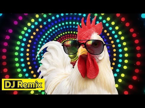 Chicken Dance original video | The hens' dancing song | 2025 | techno chicken song remix 