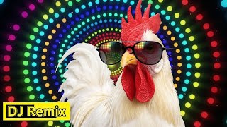 Download lagu Chicken Dance original video | The hens' dancing song | 2025 | techno chicken song remix mp3 Download lagu Chicken Dance original video | The hens' dancing song | 2025 | techno chicken song remix mp3