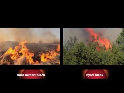 Előzd meg az erdőtüzet!