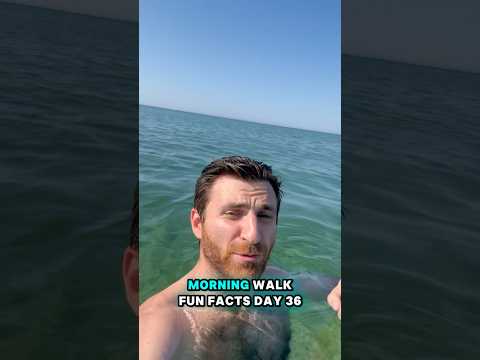 Day 36: Why does #michigan have the #upperpeninsula ? 🧤#yooper #lakemichigan