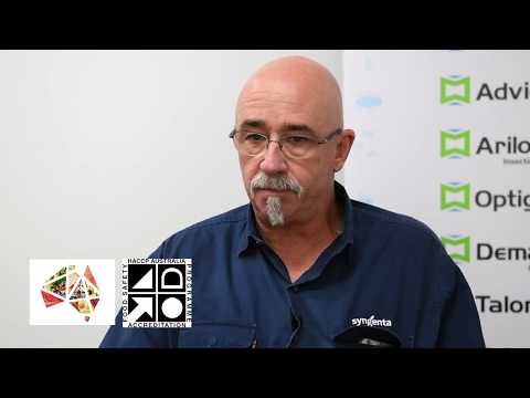 Pest Talk: Technical Tips - Controlling German cockroaches with gels