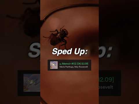 which version of “Memoir 02” by May Roosevelt is better?? 🎧😦 #llusionmusic