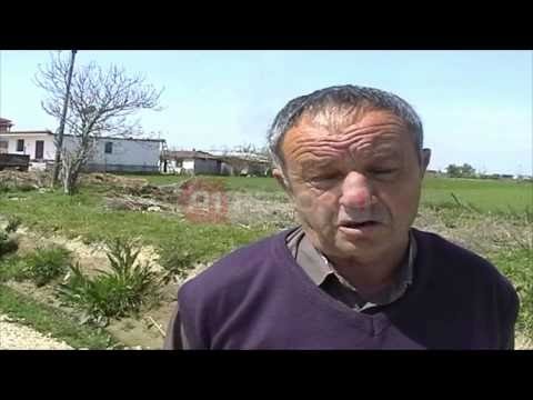 A1 Report - Marinzë tokat të kontaminuara Banorët: Nuk prodhojnë më asgjë