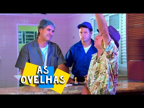 AS OVELHAS - NILTON PINTO E TOM CARVALHO