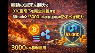 激動の週末を越えて。BTC乱高下を完全無視するBitradeX「3000ドル複利運用」の恐るべき威力