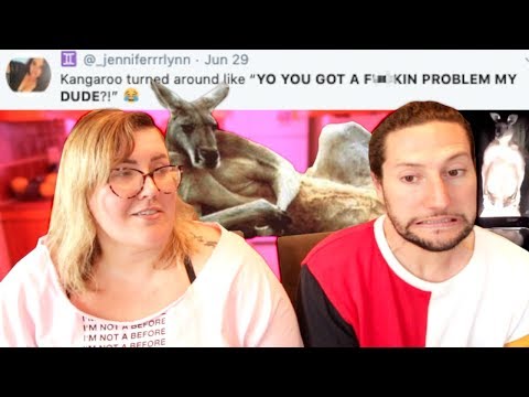 download lagu mp3 mp4 Kangaroos 941, download lagu Kangaroos 941 gratis, unduh video klip Kangaroos 941