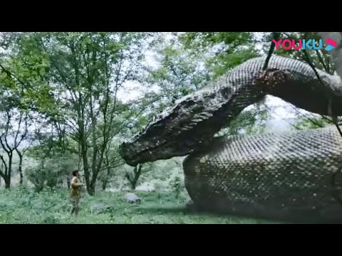 Trailers Flower and Snake 3: Punishment