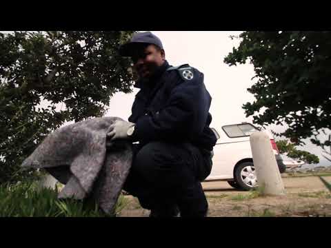 Help save animals in Cape Town this Christmas