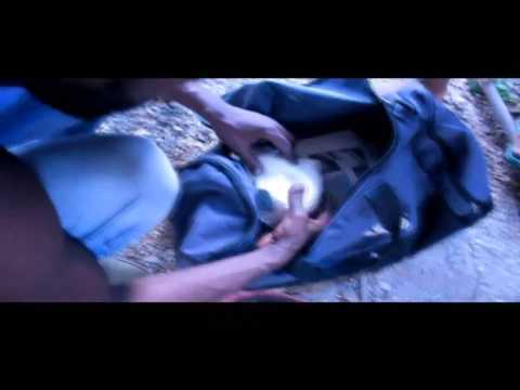 Quick Cook Ft. Krymist - Ruffest Of Times [Official Music Video]