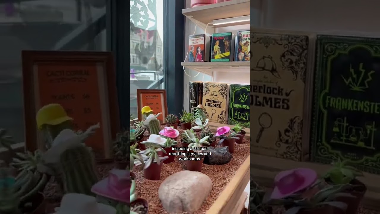 NODEST HOME PLANTS HAS RELOCATED TO BLACKSTONE, BRINGING THEIR POPULAR PLANT SERVICES TO THE AREA