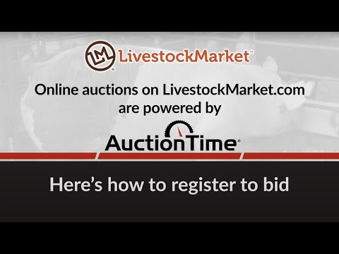 Register To Bid On AuctionTime.com