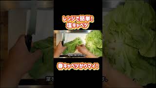 レンジで簡単！塩キャベツ#キャベツレシピ #春キャベツ #電子レンジレシピ