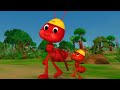 Little Baby Bum Song The Ant Go Marching