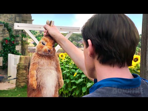 Krieg im Garten | Peter Hase | German Deutsch Clip