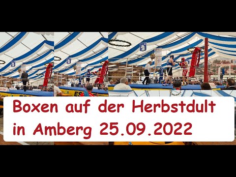 Boxen auf der Amberger Herbstdult 25.09.2022