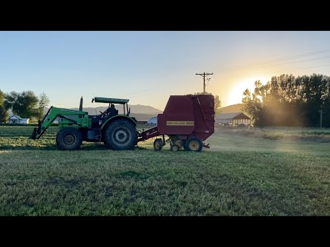 How We Turn Round Alfalfa Bales Into Silage "Baleage"