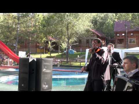 PETRICA ROTARU,OLEG ANTOCI,LILIAN GANEA- PETRECERE