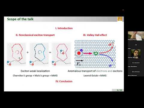 Seminar on "Exciton transport in two-dimensional semiconductors" by Mikhail Glazov