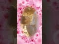 Hindi Song Tere Dar Par Sanam Chale Aaye Remix Hd WhatsApp Status Video