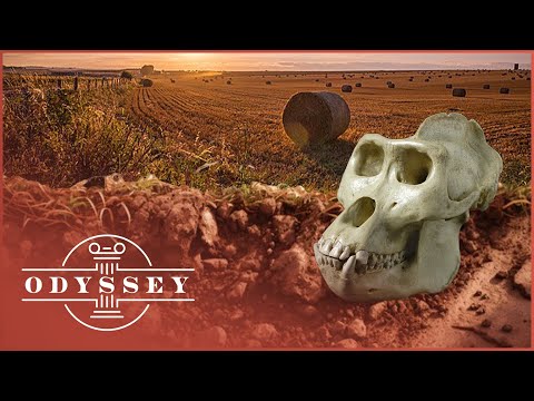The Neolithic Mystery Beneath An Ordinary English Field | Time Team