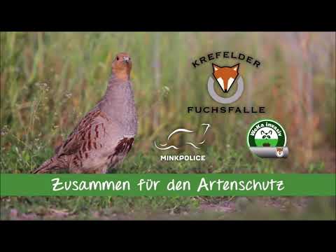 Unser aktuelles Messevideo 2026