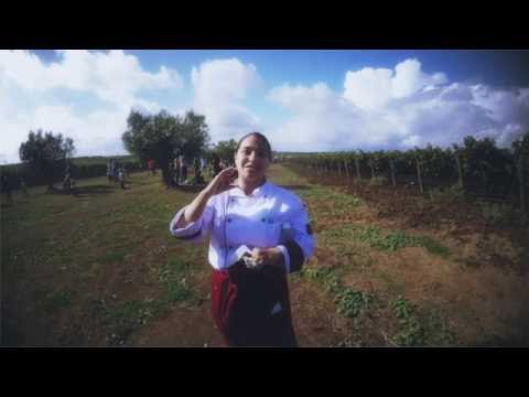 BIO*SAGRA FOR KIDS 2016